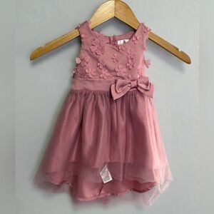 Biscotti Baby Flower Girl Pink Tulle Dress Floral Accents Satin Straps Size 12M